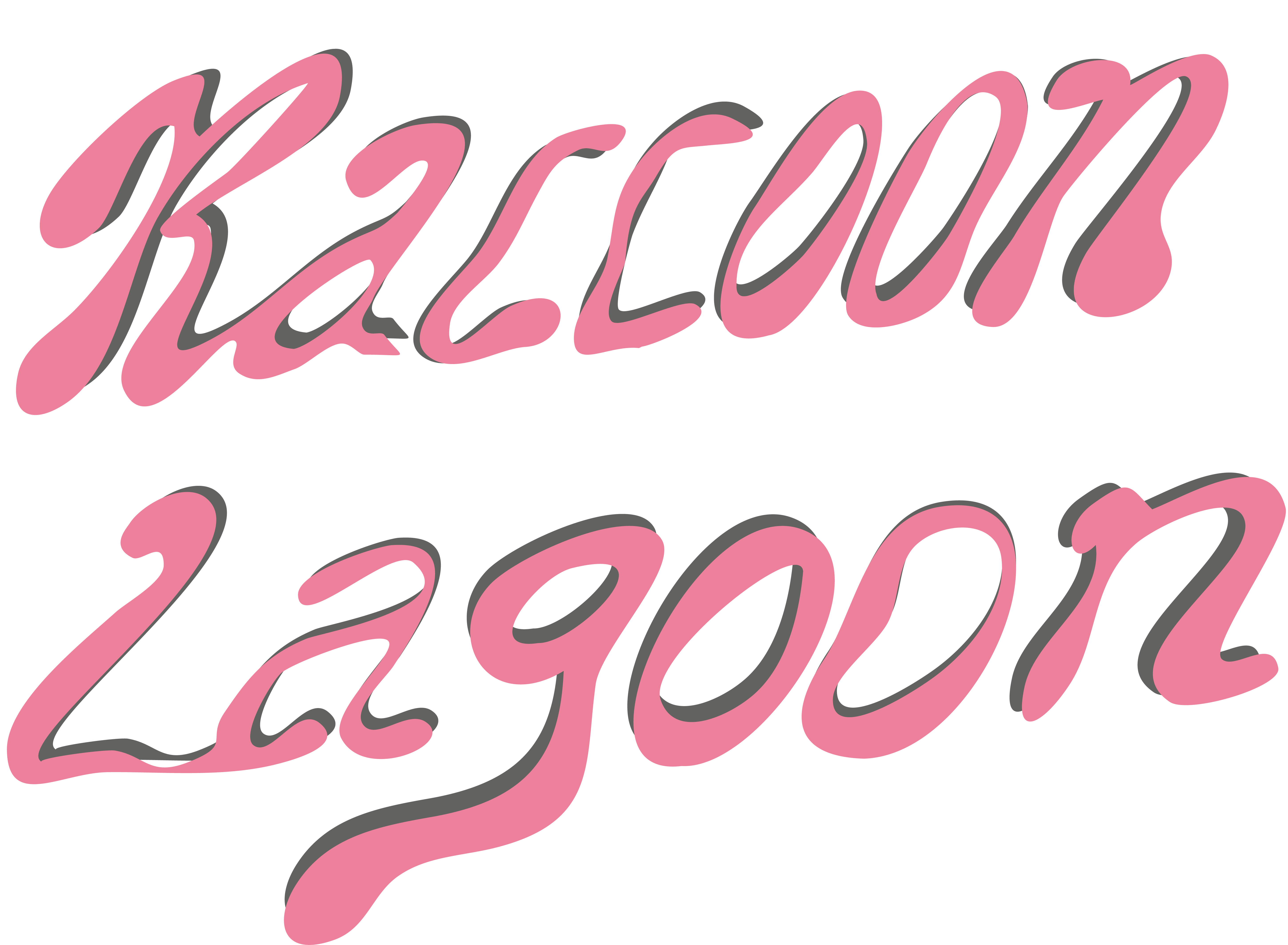Raccoon Lagoon hero image